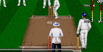 Brian Lara Cricket 96 Genesis Screenshot