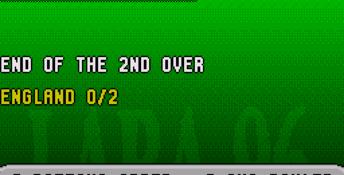 Brian Lara Cricket 96 Genesis Screenshot