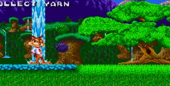 Bubsy