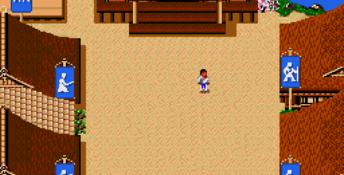 Budokan: The Martial Spirit Genesis Screenshot