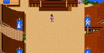 Budokan: The Martial Spirit Genesis Screenshot