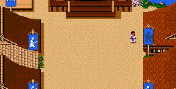 Budokan: The Martial Spirit Genesis Screenshot