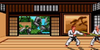 Budokan: The Martial Spirit Genesis Screenshot
