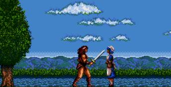 Cadash Genesis Screenshot