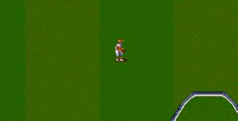 Cal Ripken Jr. Baseball