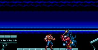 Castlevania: The New Generation