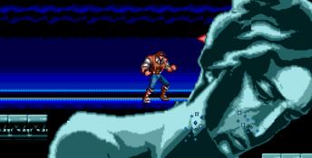Castlevania: The New Generation