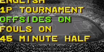 Champions World Class Soccer Genesis Screenshot