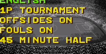 Champions World Class Soccer Genesis Screenshot