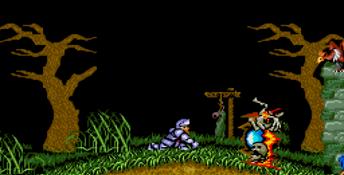 Dai Makaimura Genesis Screenshot
