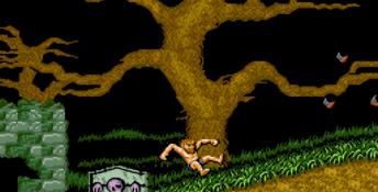 Dai Makaimura Genesis Screenshot