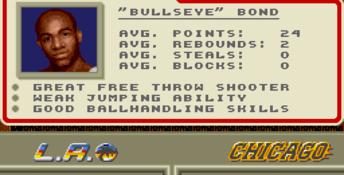 David Robinson's Basketball