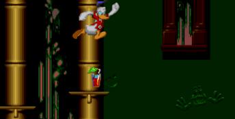 Donald Duck in Maui Mallard