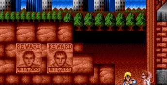 Double Dragon Genesis Screenshot