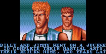 Double Dragon 3: The Rosetta Stone