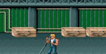 Double Dragon 3: The Rosetta Stone