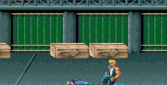 Double Dragon 3: The Rosetta Stone
