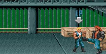 Double Dragon 3: The Rosetta Stone Genesis Screenshot