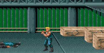 Double Dragon 3: The Rosetta Stone Genesis Screenshot