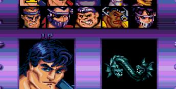 Double Dragon 5 Genesis Screenshot