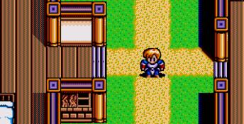 Dragon Slayer Genesis Screenshot
