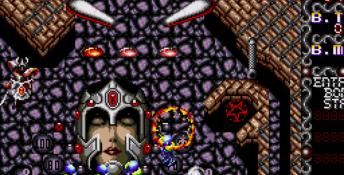 Dragon's Fury Genesis Screenshot