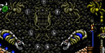 Dragon's Revenge Genesis Screenshot
