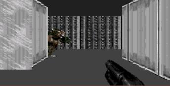 The first level