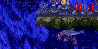ECCO Genesis Screenshot