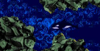 ECCO Jr. Genesis Screenshot
