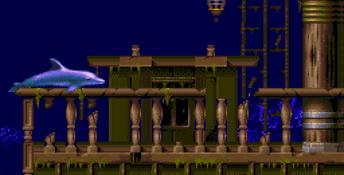 ECCO: The Tides of Time