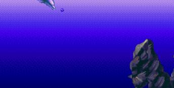 ECCO: The Tides of Time