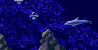 ECCO: The Tides of Time