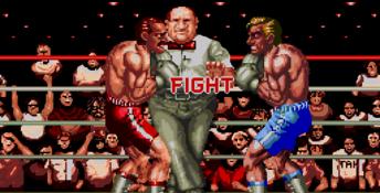 Final Blow Genesis Screenshot