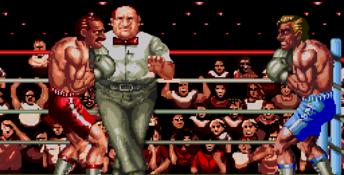 Final Blow Genesis Screenshot
