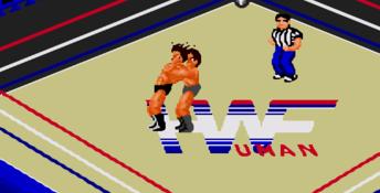Fire Pro Wrestling Gaiden