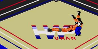 Fire Pro Wrestling Gaiden