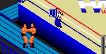 Fire Pro Wrestling Gaiden Genesis Screenshot