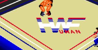 Fire Pro Wrestling Gaiden Genesis Screenshot