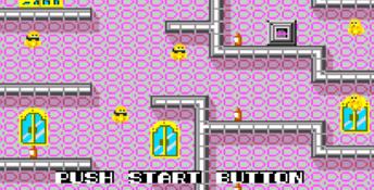 Flicky Genesis Screenshot