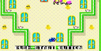 Flicky Genesis Screenshot