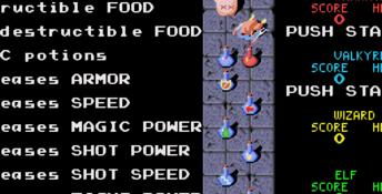 Gauntlet 4 Genesis Screenshot