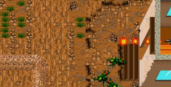It Came From The Desert Genesis Screenshot