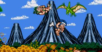 Joe and Mac / Caveman Ninja