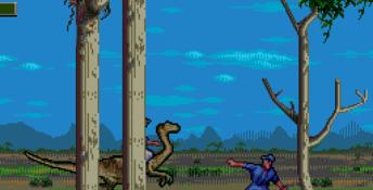 Jurassic Park: Rampage Edition Genesis Screenshot