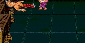 Ka-Ge-Ki: Fists of Steel