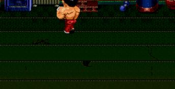 Ka-Ge-Ki: Fists of Steel Genesis Screenshot