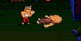 Ka-Ge-Ki: Fists of Steel Genesis Screenshot