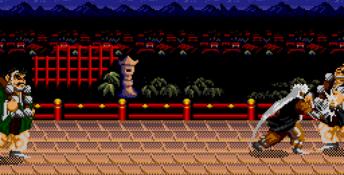 Mystical Fighter