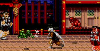 Mystical Fighter